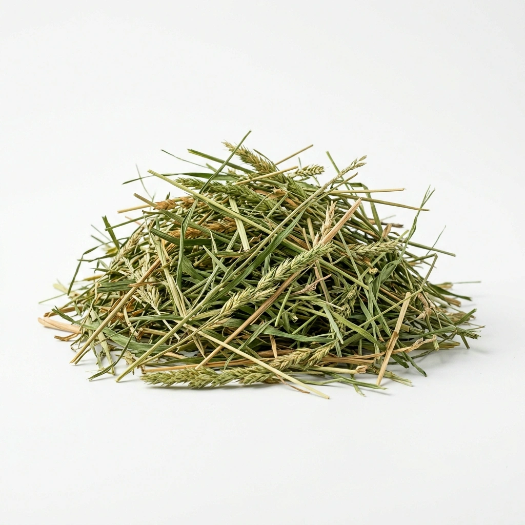 Timothy Hay Premium Aromatic 100g